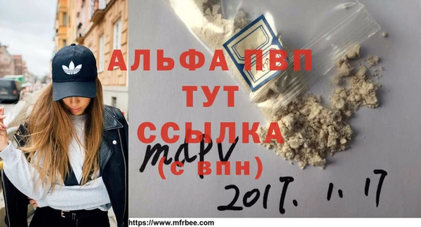 гидра Покачи