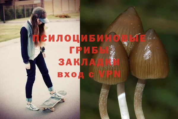 jwh Аркадак